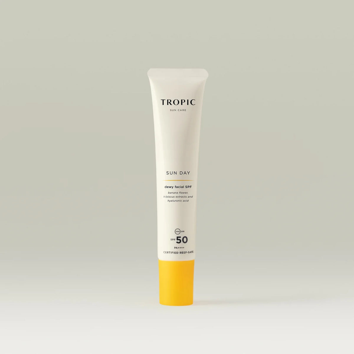 Sun Day Dewy Facial SPF