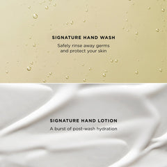 Signature Hand Collection